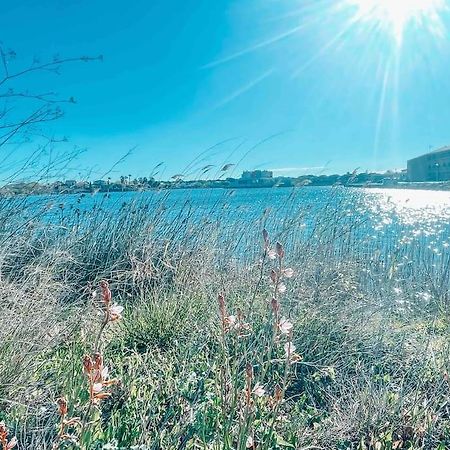 La Casita ,Appartement Face A L'Etang Le Barcarès Exteriör bild