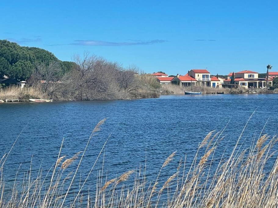 La Casita ,Appartement Face A L'Etang Le Barcarès Exteriör bild
