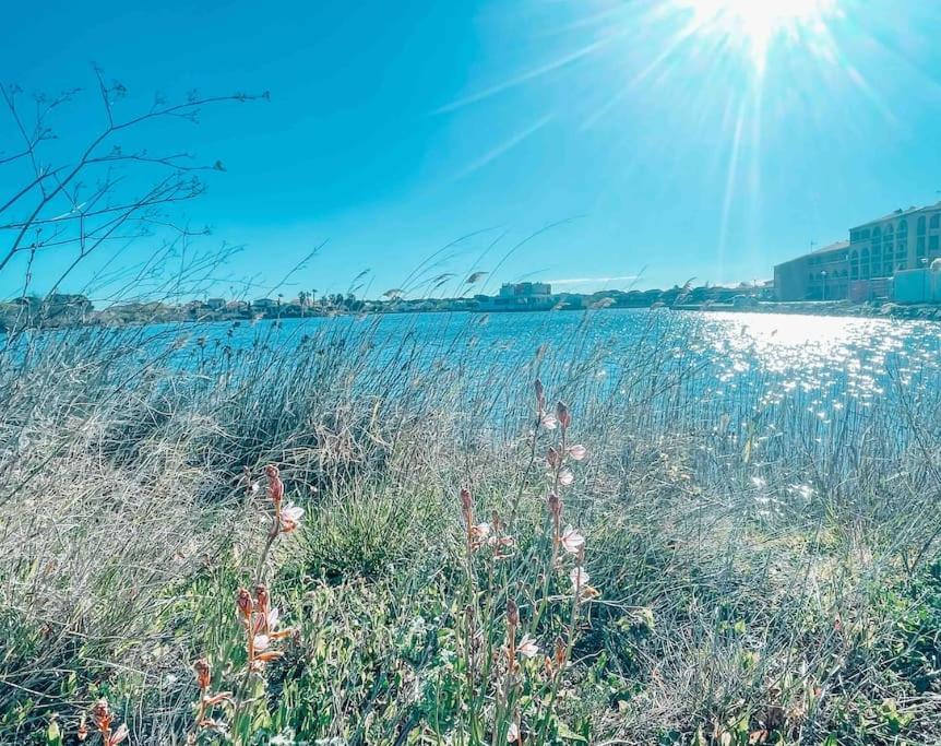 La Casita ,Appartement Face A L'Etang Le Barcarès Exteriör bild